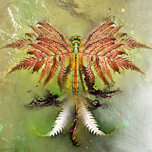 Fern Fantasies Dragonfly (fine art print)